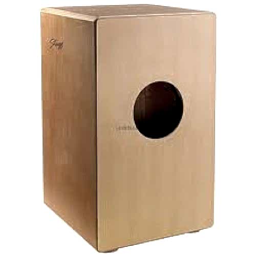 Diğer Ritim Aletleri