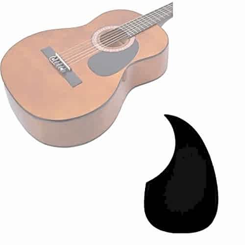 Gitar Pena Korumalığı PG100