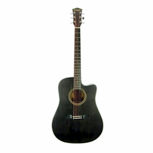 Akustik Gitar Segovıa Ladin SGA486C