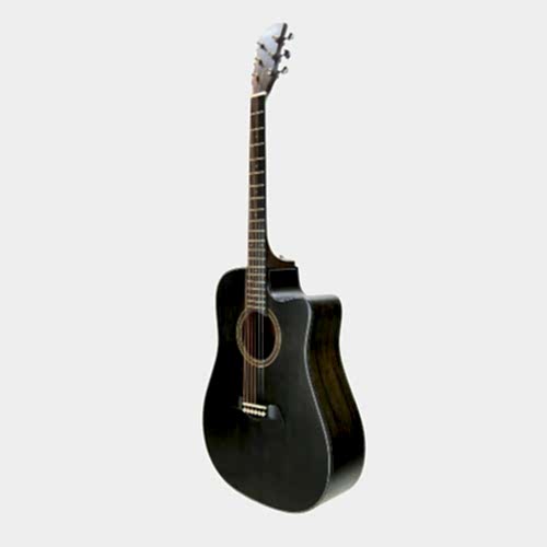 Akustik Gitar Segovıa Ladin SGA486C