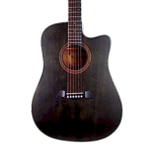 Akustik Gitar Segovıa Ladin SGA486C