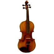 Profesyonel Kemanlar (12)