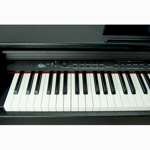 Digital Piano Hammer Action 88 Tuş STDP518